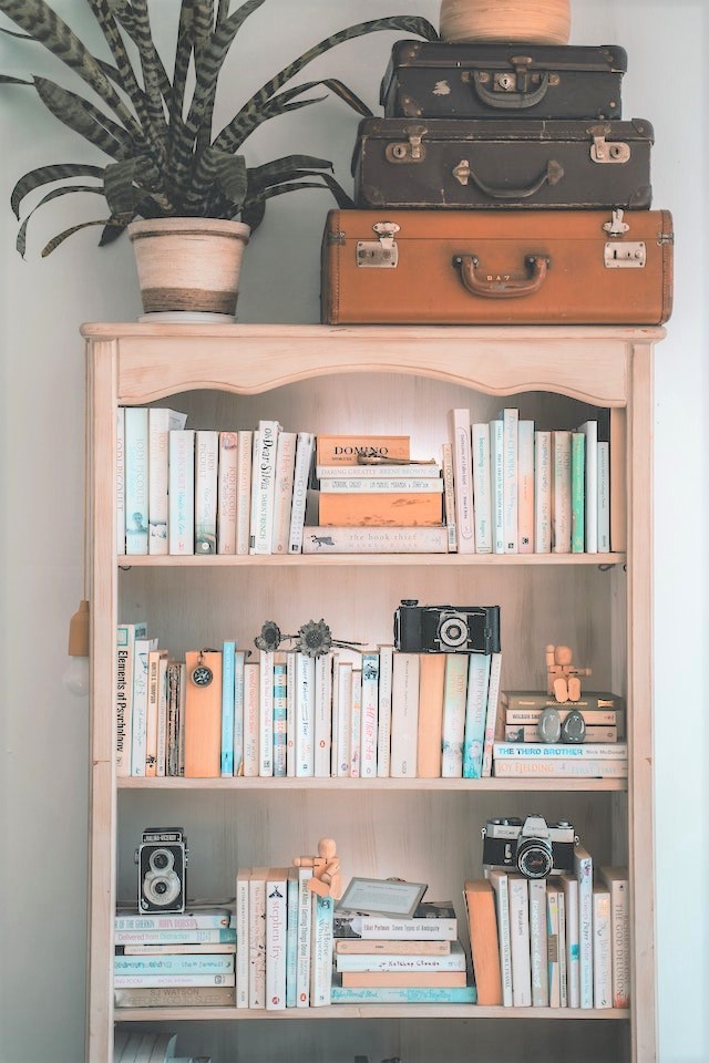 How to Organize a Bookshelf with a Lot of Books