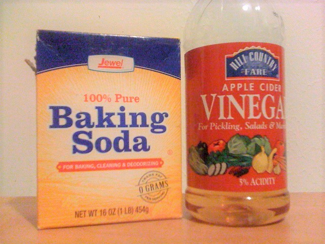 Baking Soda and Vinegar to Kill Roaches
